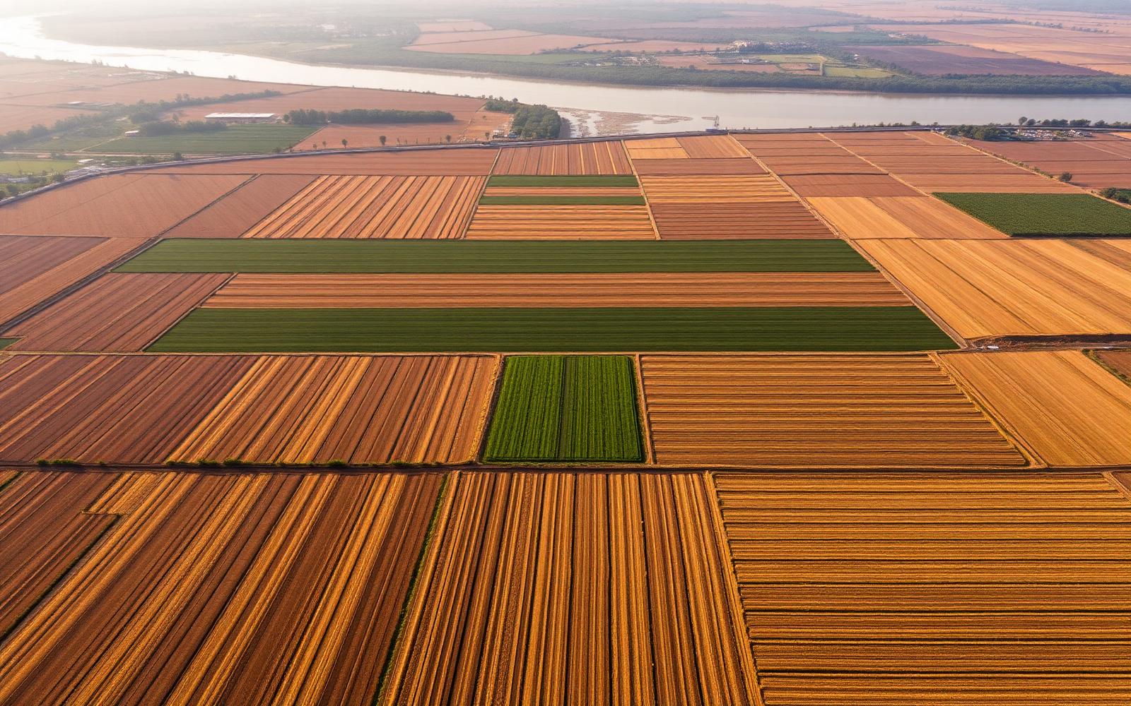 Aerial view of farmland around Pandharpur